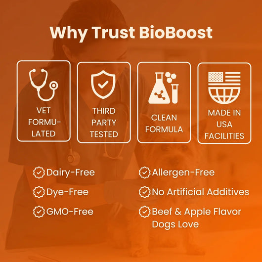 BioBoost NAD+ Longevity Drops For Dogs