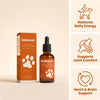 BioBoost NAD+ Longevity Drops For Dogs