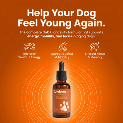 BioBoost NAD+ Longevity Drops For Dogs