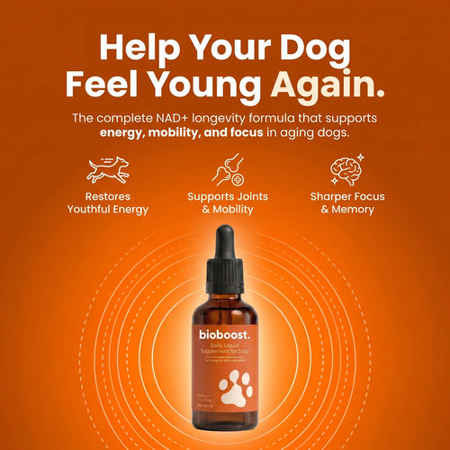 BioBoost NAD+ Longevity Drops For Dogs