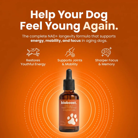 BioBoost NAD+ Longevity Drops For Dogs