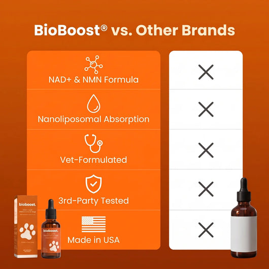BioBoost NAD+ Longevity Drops For Dogs