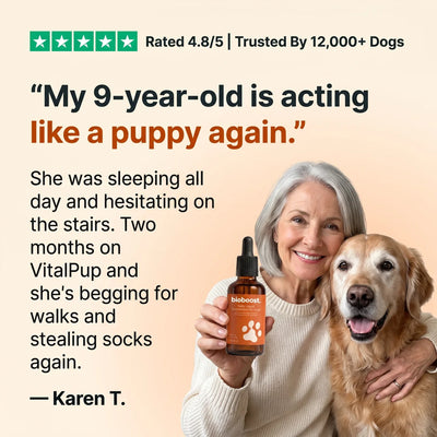 BioBoost NAD+ Longevity Drops For Dogs