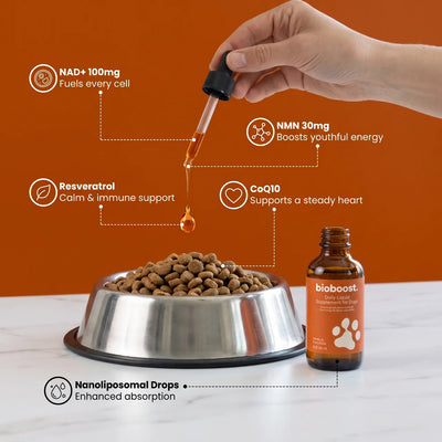 BioBoost NAD+ Longevity Drops For Dogs